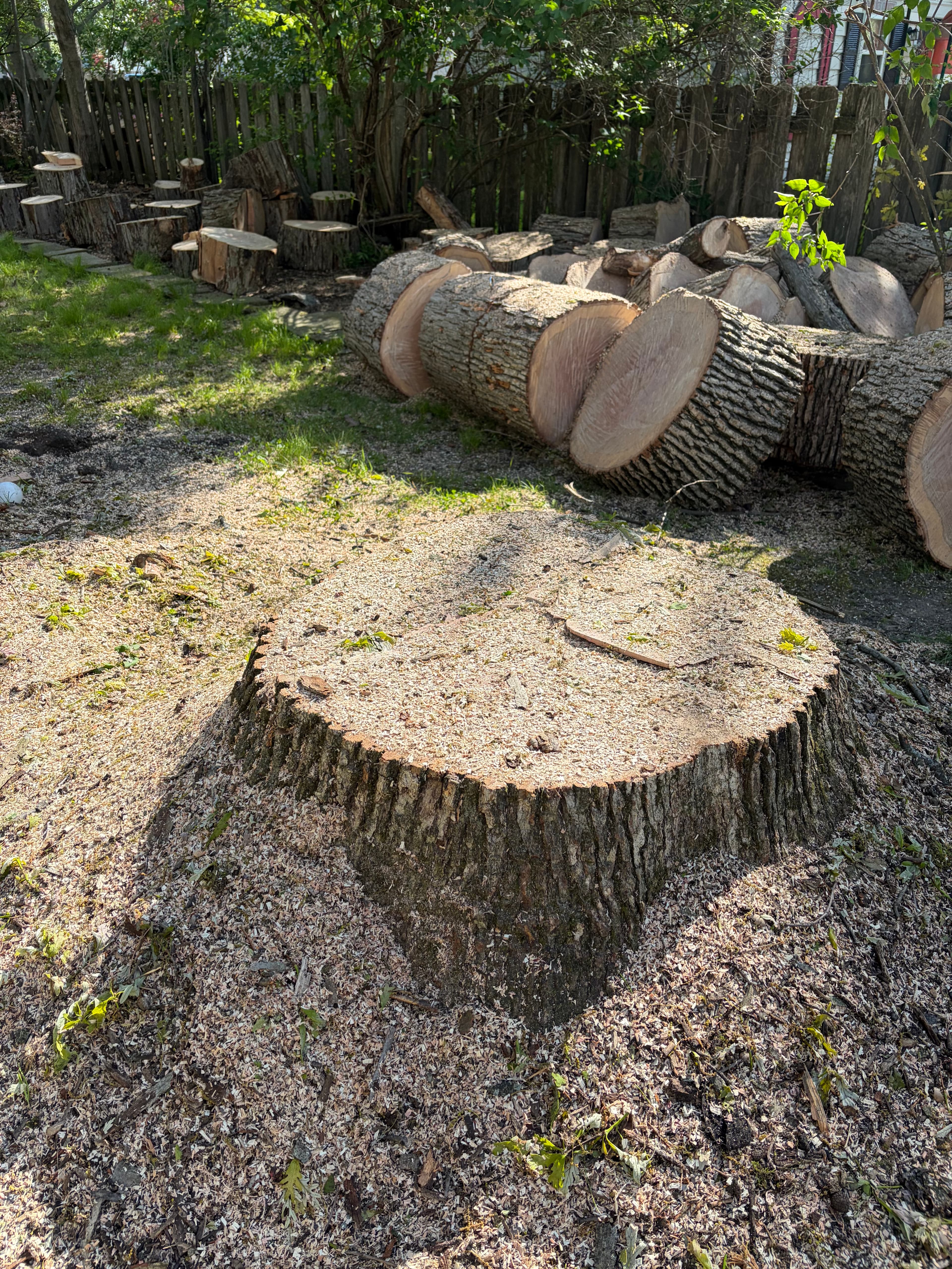 Stump removed and ground down — Northeast Ohio