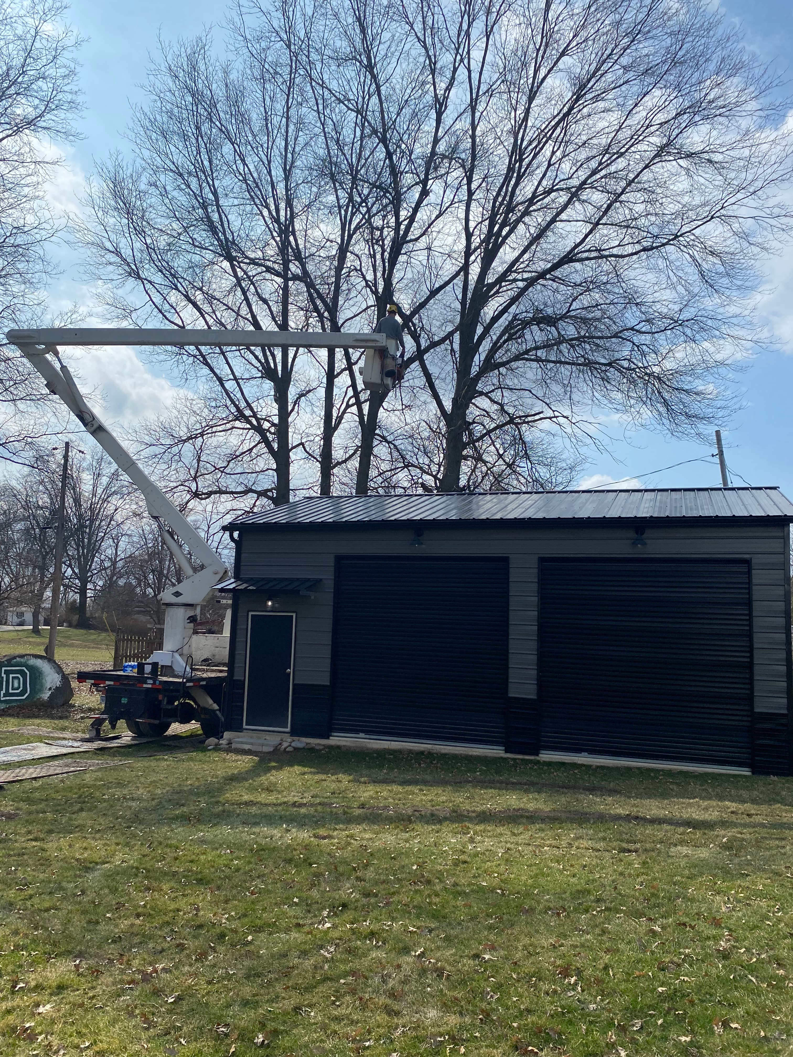 Large oak tree removal in Cleveland, Ohio — Big Creek Tree Service